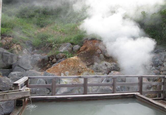 野趣あふれる