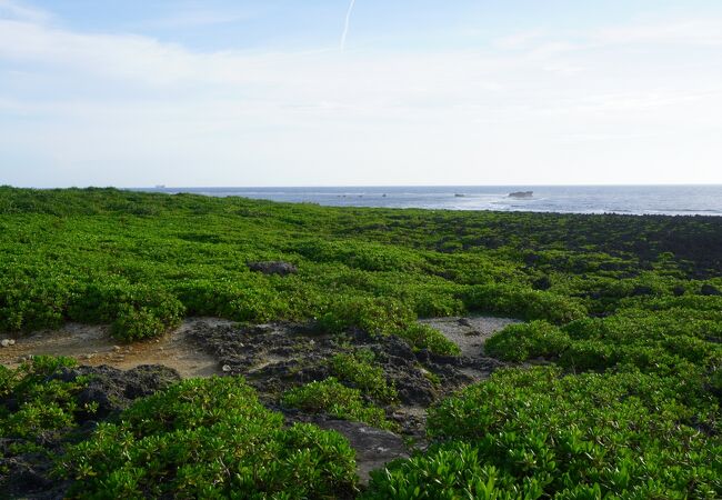 沖縄海岸国定公園