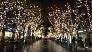 道沿いがゴールドに輝く☆