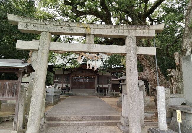 木熊野神社