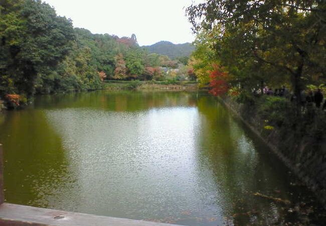 秋は紅葉が水面に写りこんで風流です