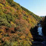 紅葉が見頃で見ごたえがあります。