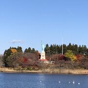 白鳥がいて感動