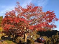 花貫渓谷　紅葉まつり