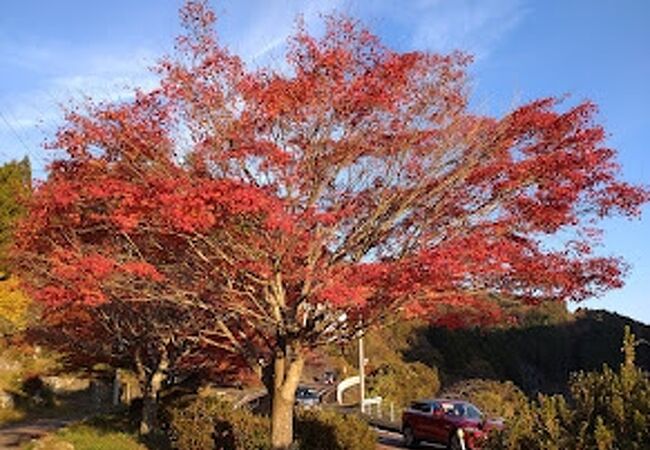 花貫渓谷　紅葉まつり