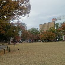 関内駅の真ん前。園内に横浜スタジアムがある公園です。