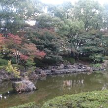 園内にある日本庭園も紅葉が始まっていました。
