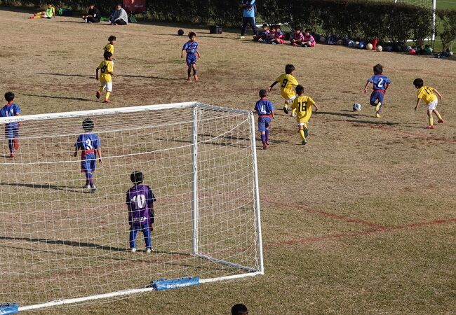 広くてのびのびサッカー