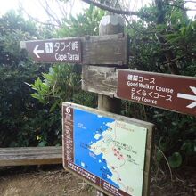 タライ岬遊歩道