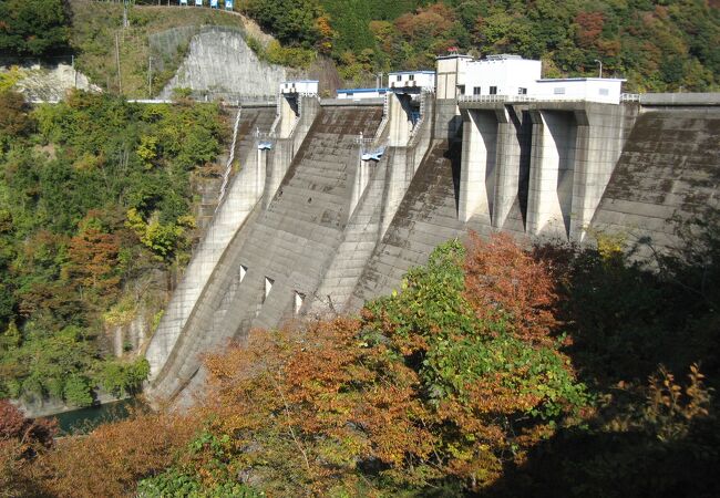 ダムカード 徳山ダム-