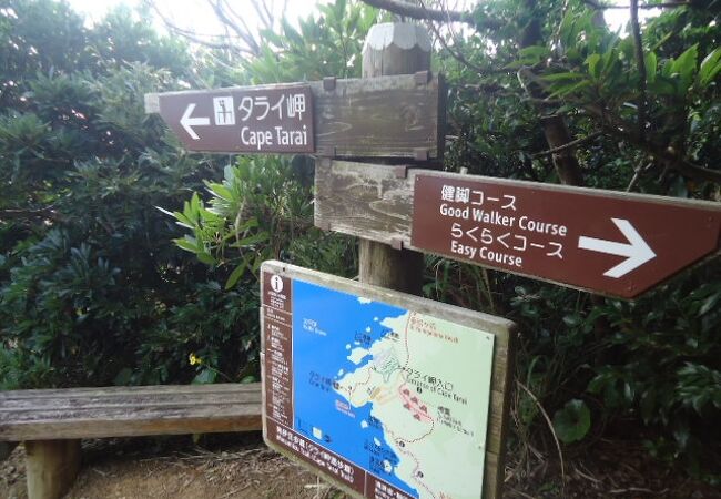タライ岬遊歩道