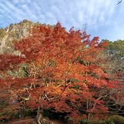 紅葉も綺麗でした。