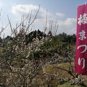 月ヶ瀬温泉の駐車場は無料