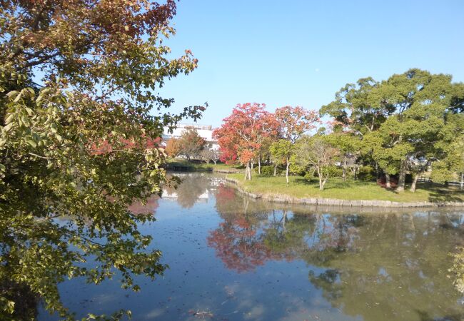 紅葉が始まっていました。