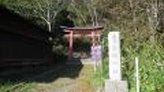 小樽水族館方面