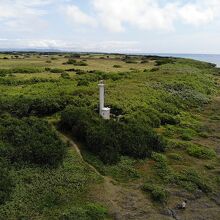 海岸沿いの森の中にある灯台