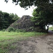 サンゴ石の山