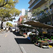 店が並ぶ