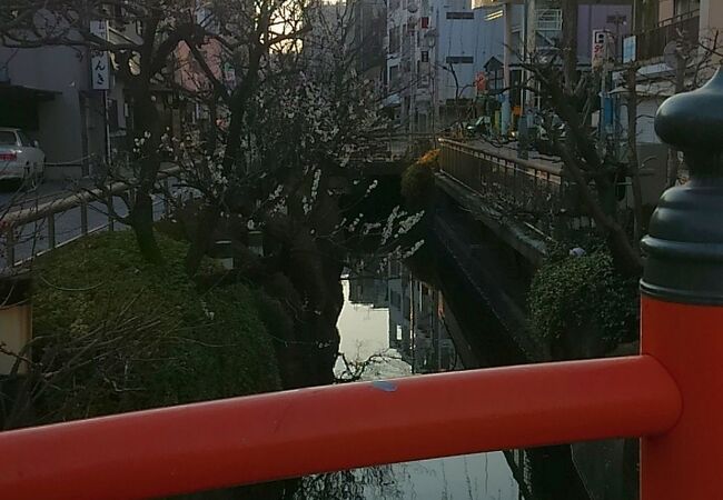 市街地中心部を流れる釜川沿いの通り