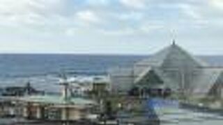 12月には温泉に入る猿がいます