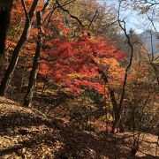 裏妙義　三方境の紅葉はまだ見頃続いています