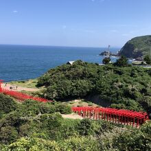 真っ赤な鳥居の列と日本海の海の色がきれいなコントラスト