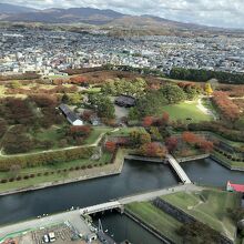 上から見下ろす