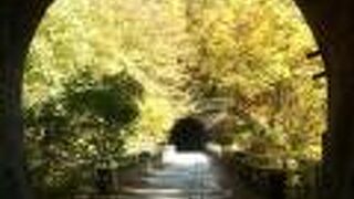 見どころたっぷりの廃線ウォーク