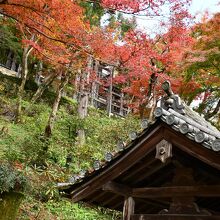 見頃の紅葉