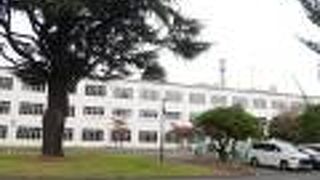 いささかものものしい。