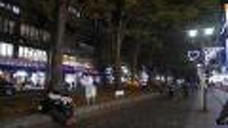 立派なケヤキ並木。