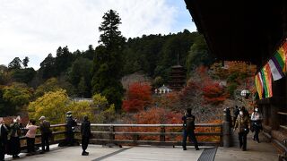 登楼、ご本堂、舞台、五重塔を巡る長谷寺