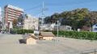 めちゃだだっ広〜い。