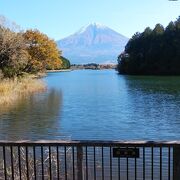 正面に富士山を望む周囲４キロの湖