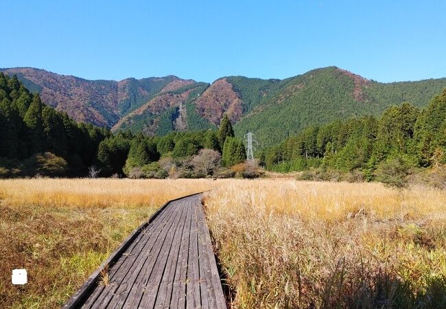 小田貫湿原