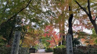 観音寺