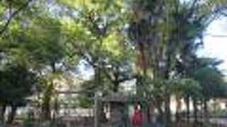 弁財天が祀られた公園です