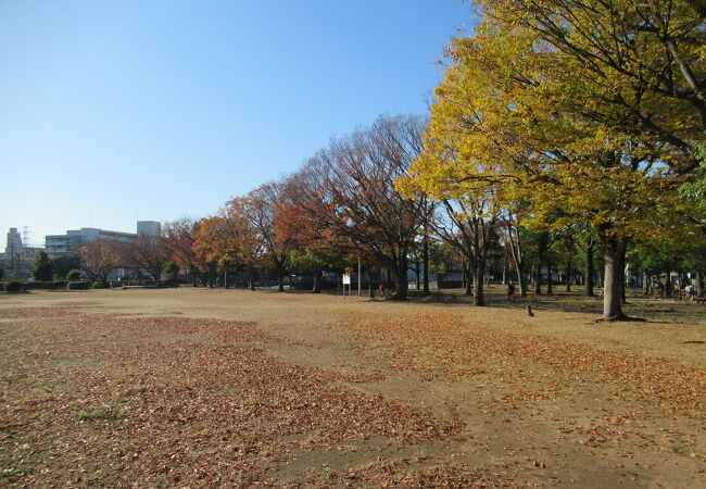 行徳駅前公園 (SL公園)