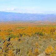 紅葉がきれいでした