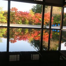 紅葉の「床もみじ」