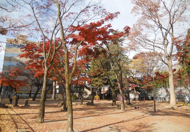 勝山公園