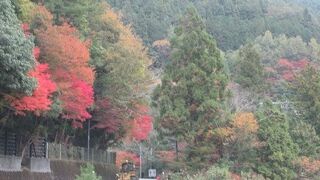 訪れる価値あり