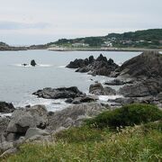 天然芝生の海岸