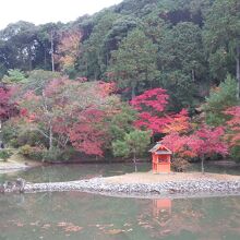 浄瑠璃寺の紅葉