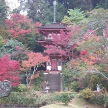 浄瑠璃寺の三重塔と紅葉