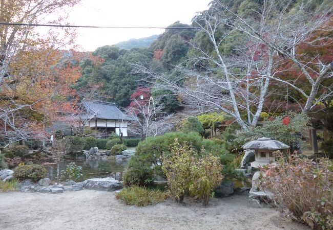 紅葉がきれいでした