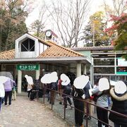 景色を見ながら回ることができる。