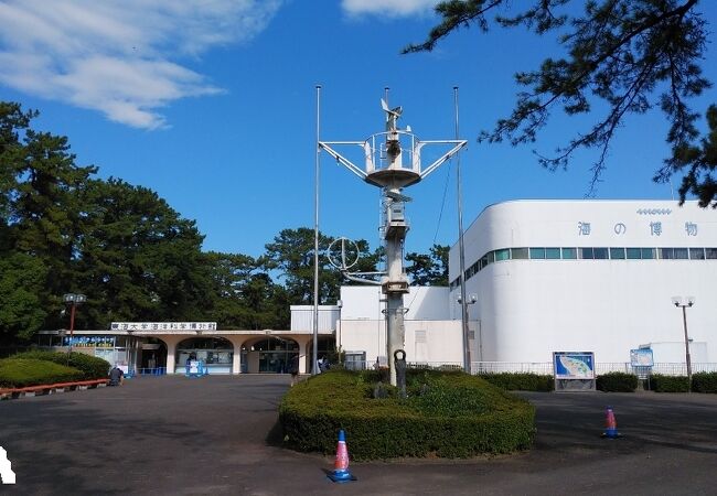 水族館と博物館が楽しめる大学付属の施設