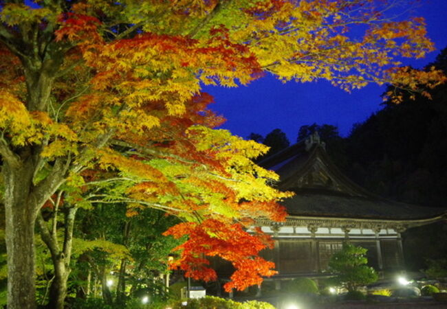 車がないと行きにくいですが、秋のライトアップは素晴らしかったです!　空いてるので写真撮り放題!