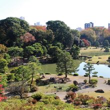 藤代峠から見た園内